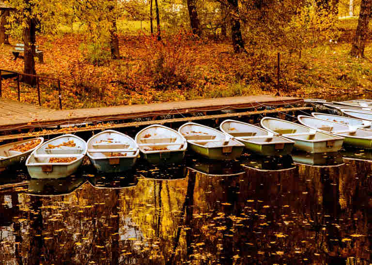 Boats at a jetty in autumn