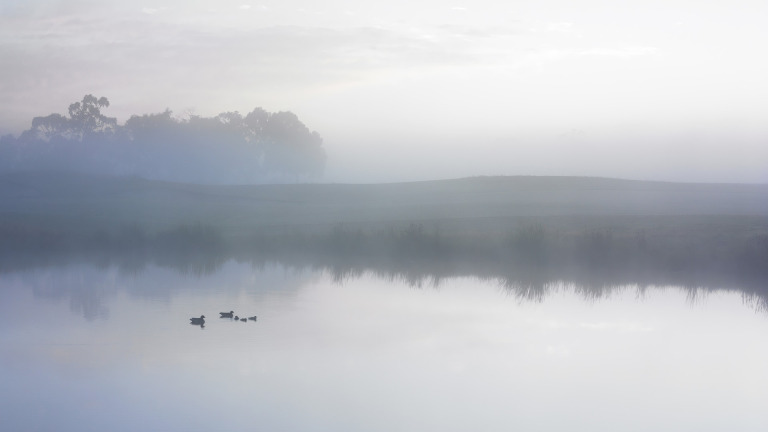 Mist over lake surface